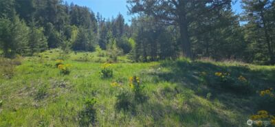 111 Ellemeham Mtn , Oroville, WA 98844 - Photo 10