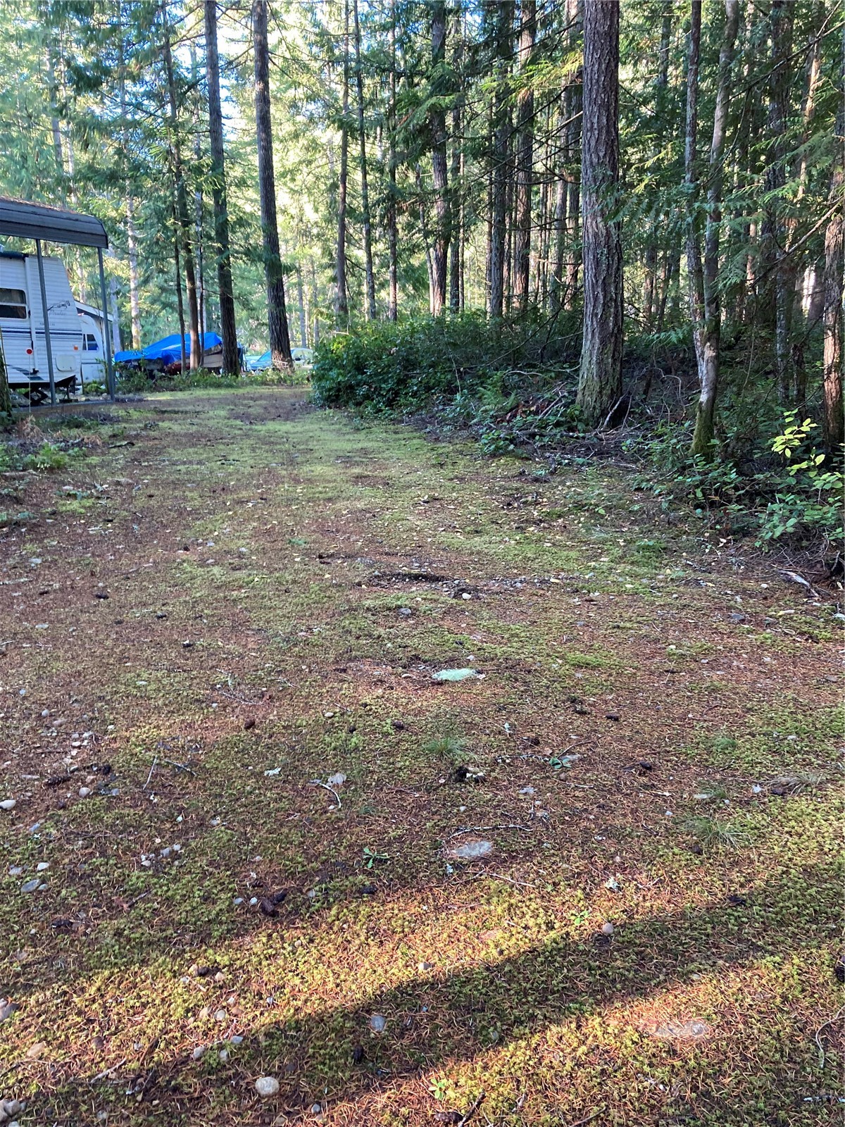 20 N Mt Jupiter Court , Hoodsport, WA 98548