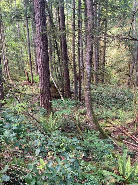 20 N Mt Jupiter Court , Hoodsport, WA 98548