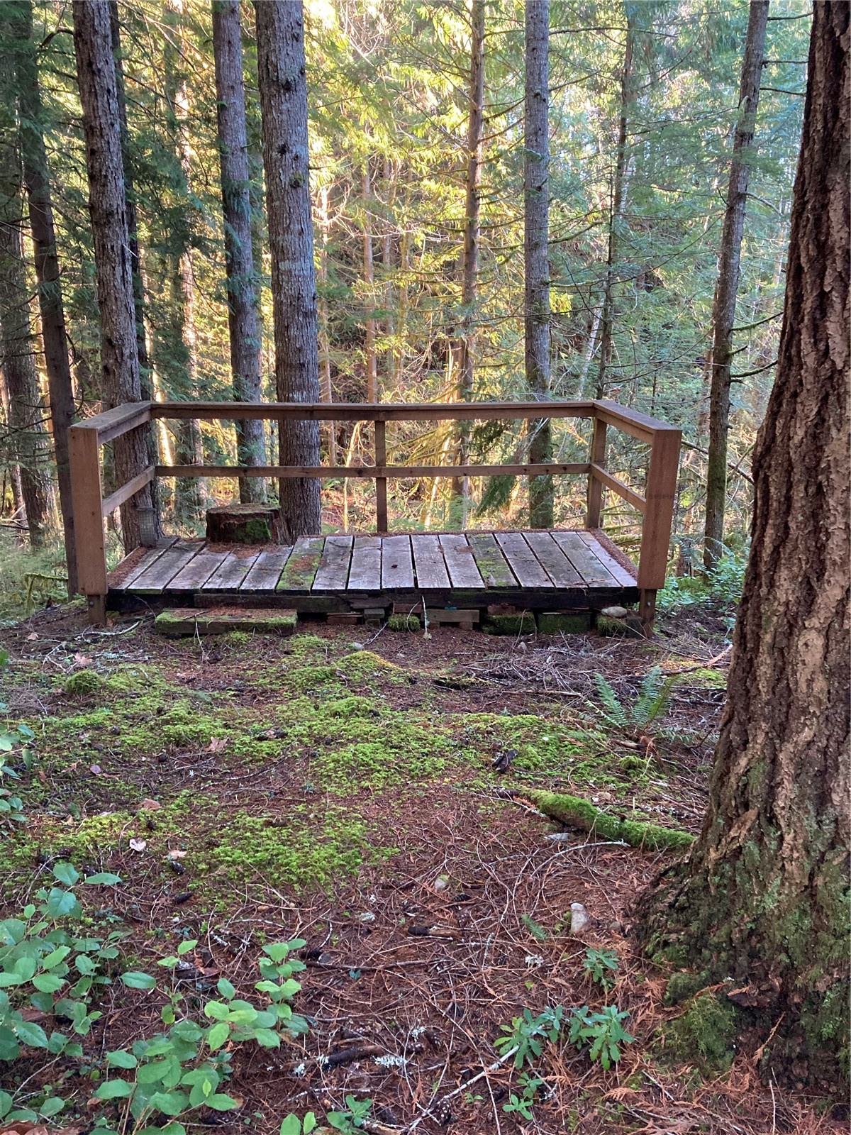 20 N Mt Jupiter Court , Hoodsport, WA 98548