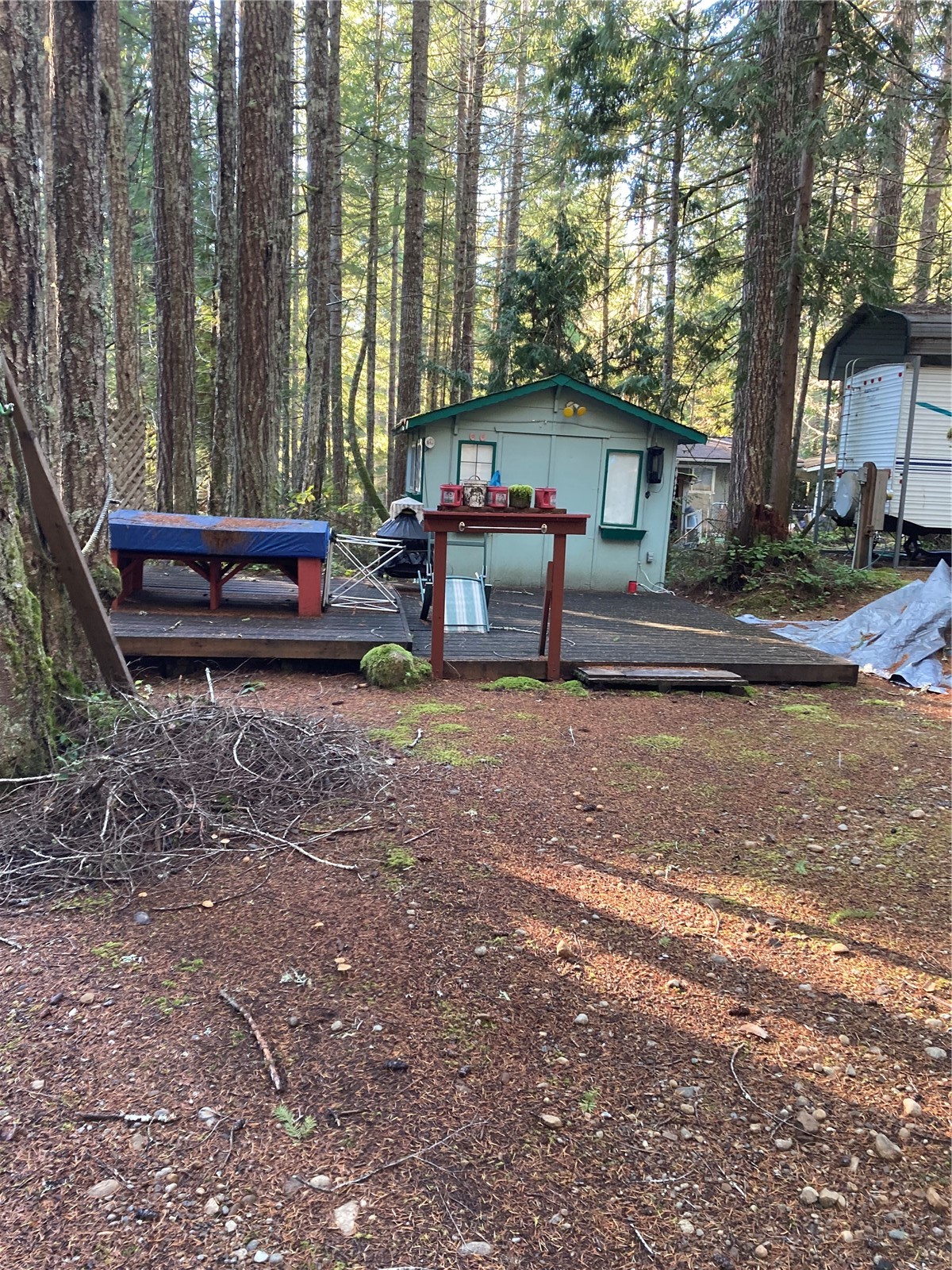 20 N Mt Jupiter Court , Hoodsport, WA 98548