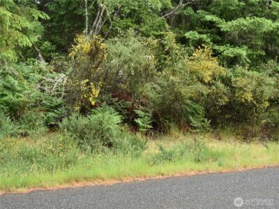 10921 Pioneer Drive , Anderson Island, WA 98303 - Photo 1