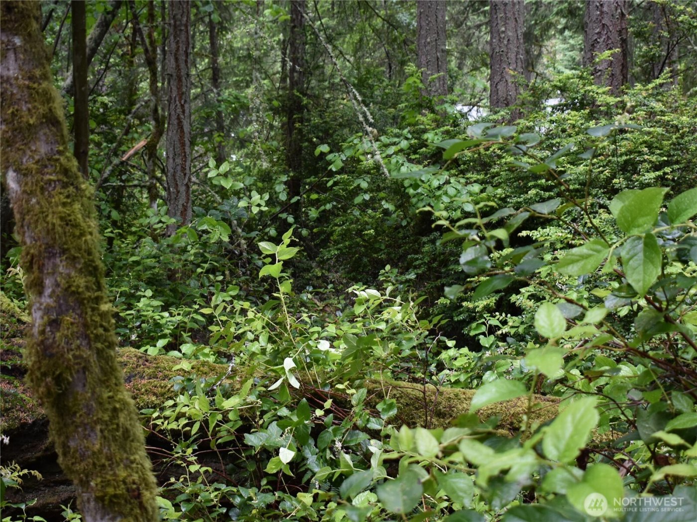 10921 Pioneer Drive , Anderson Island, WA 98303