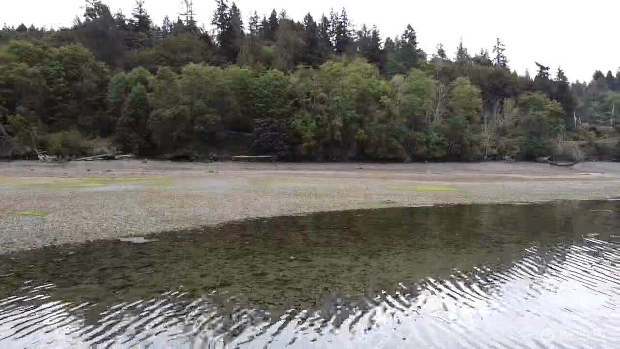 5301 E State Route 302 , Belfair, WA 98528