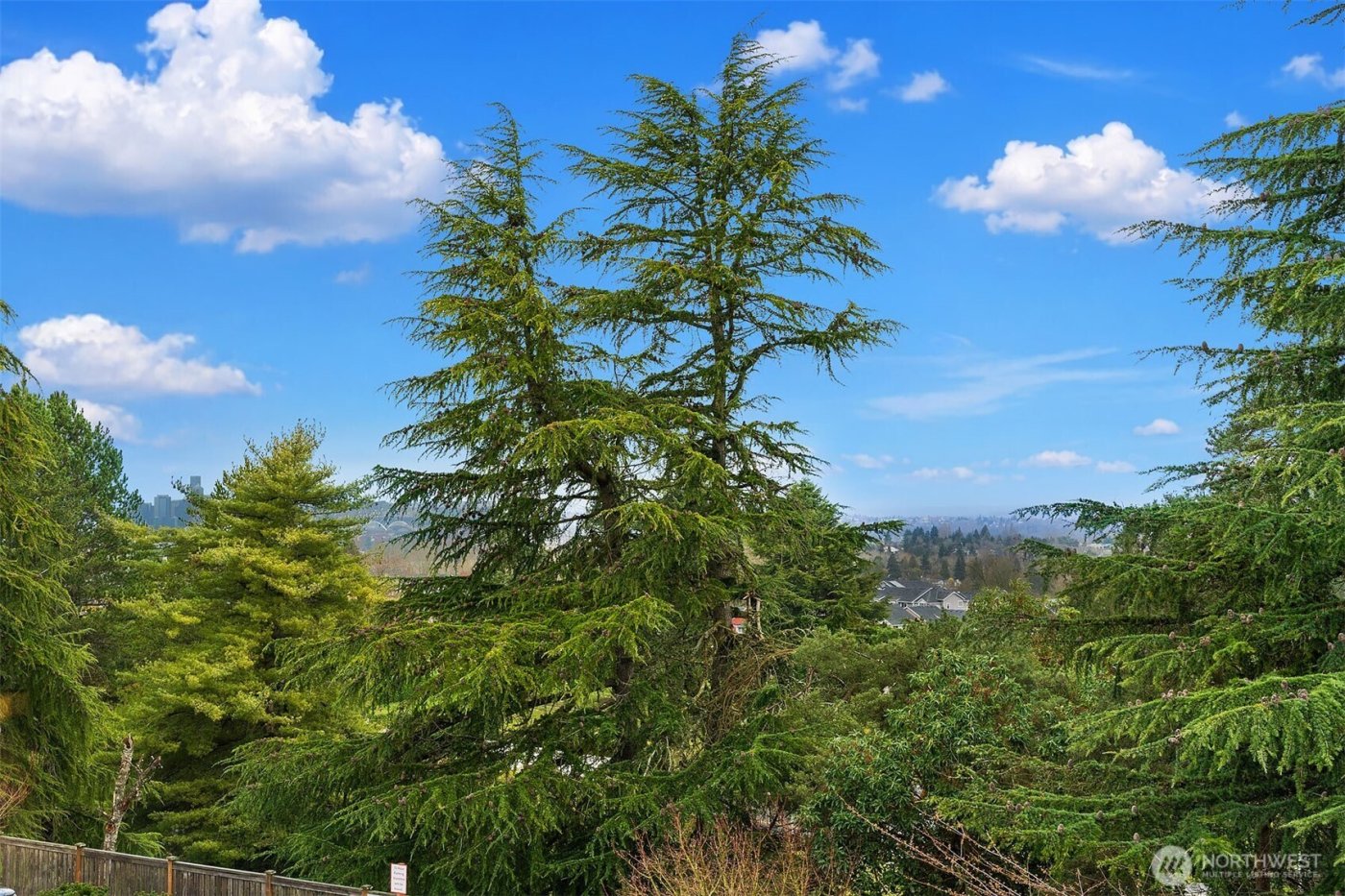 6908 31st Avenue SW, Seattle, WA 98126