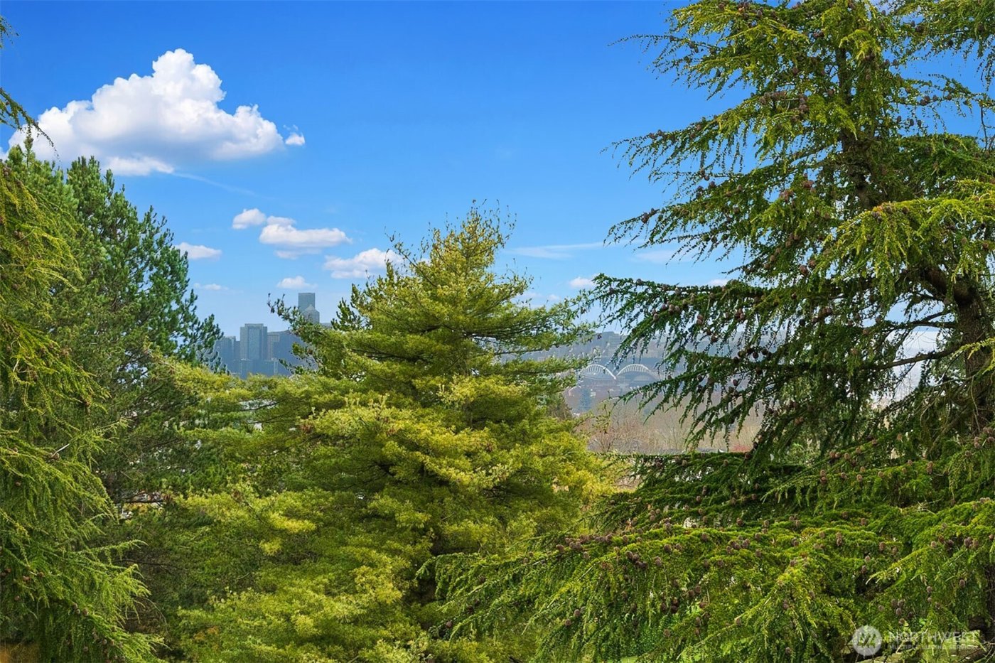 6908 31st Avenue SW, Seattle, WA 98126