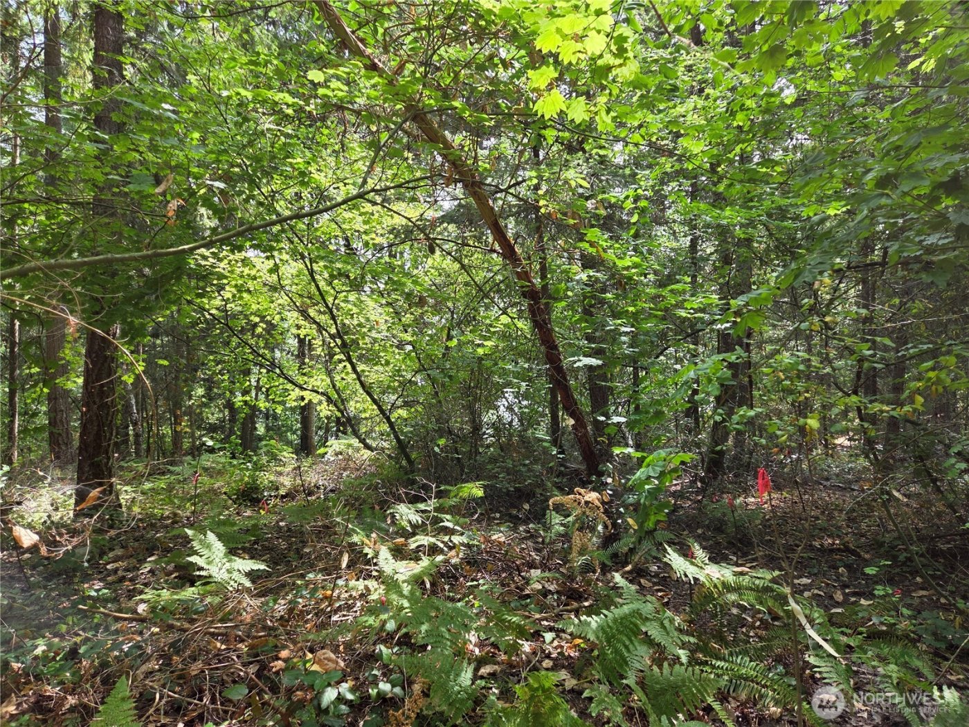 22041 Clear Lake Boulevard SE, Yelm, WA 98597