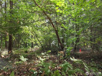 22041 Clear Lake Boulevard SE, Yelm, WA 98597 - Photo 2