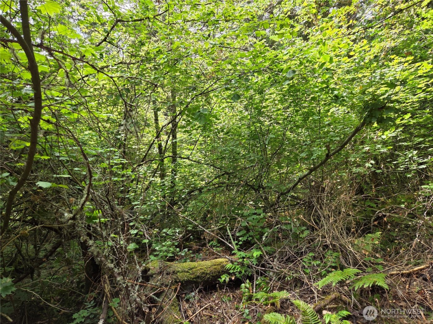 22041 Clear Lake Boulevard SE, Yelm, WA 98597