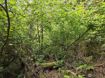 22041 Clear Lake Boulevard SE, Yelm, WA 98597 - Photo 3