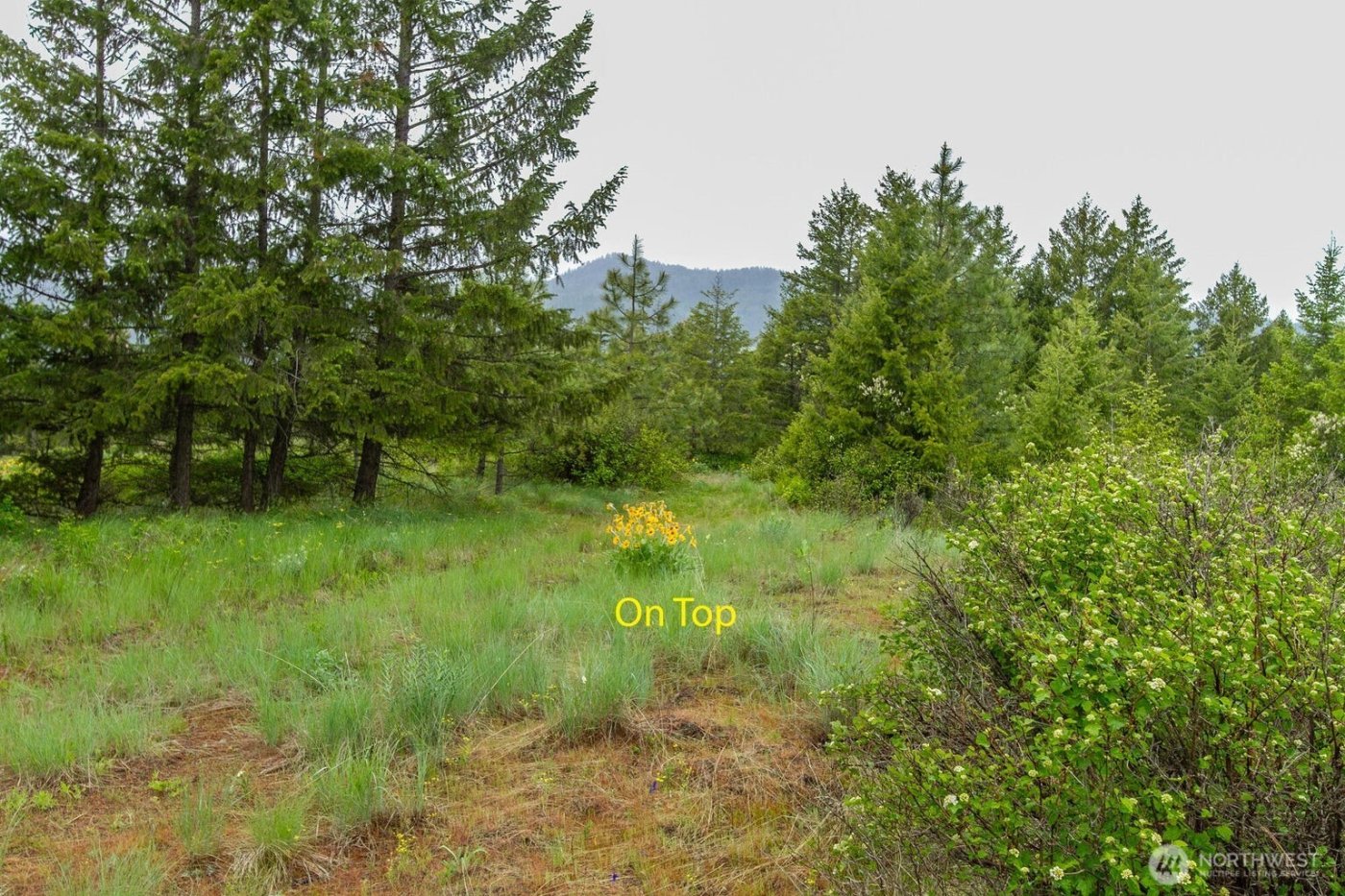 2420 A Cedonia Addy Road , Addy, WA 99101