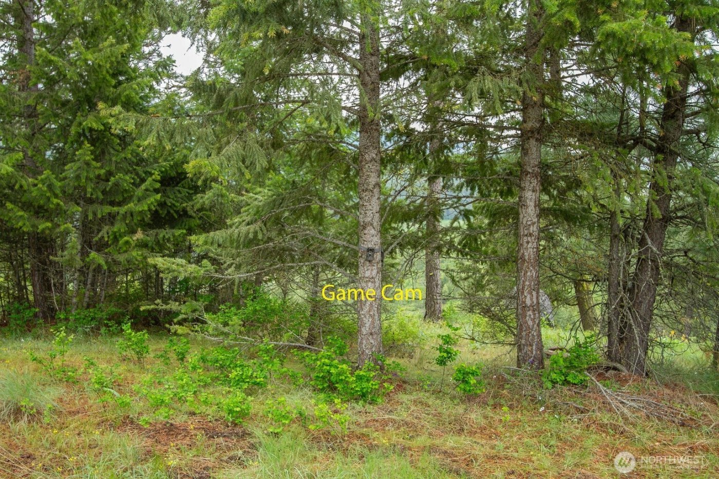 2420 A Cedonia Addy Road , Addy, WA 99101