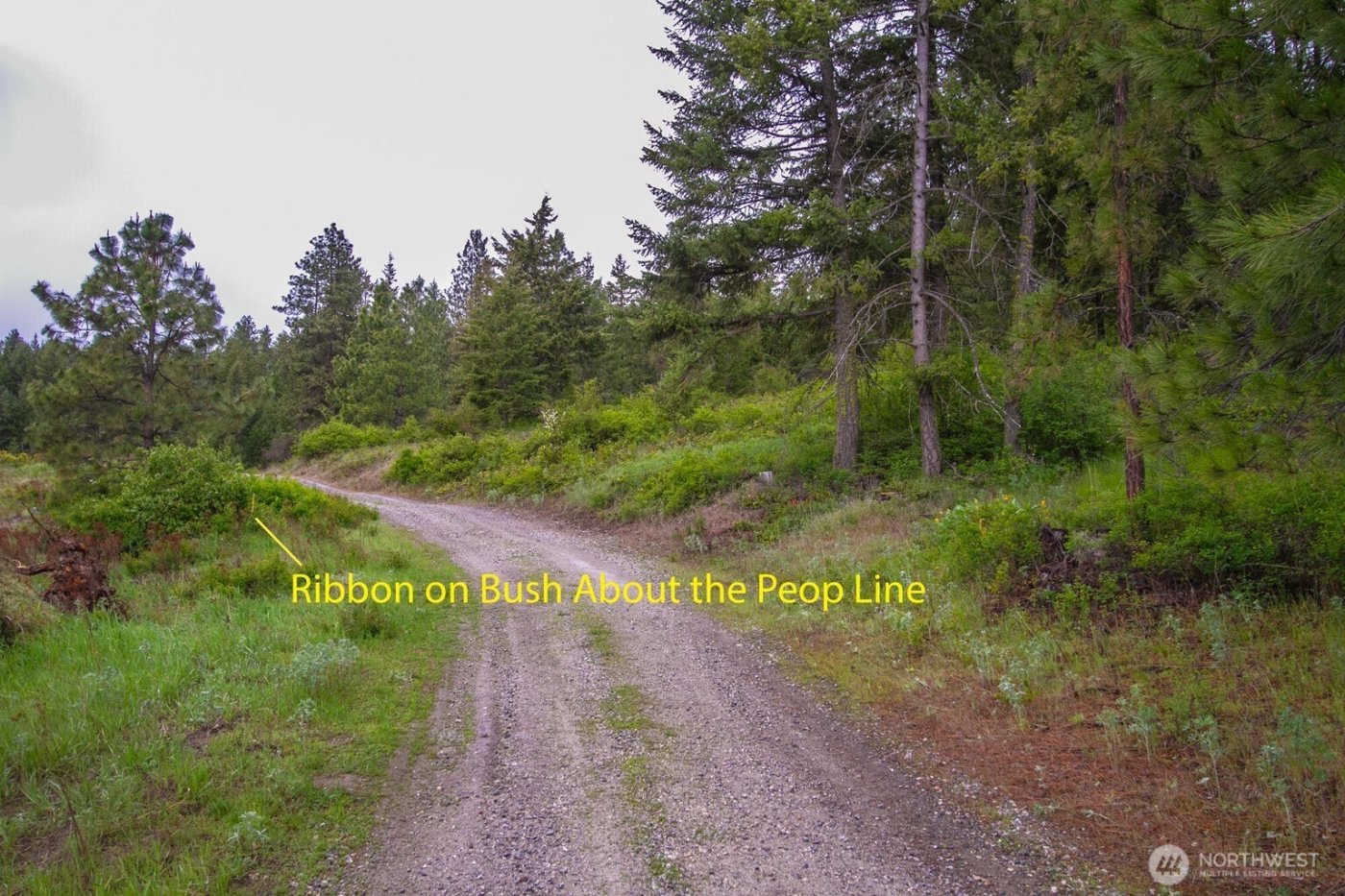 2420 A Cedonia Addy Road , Addy, WA 99101