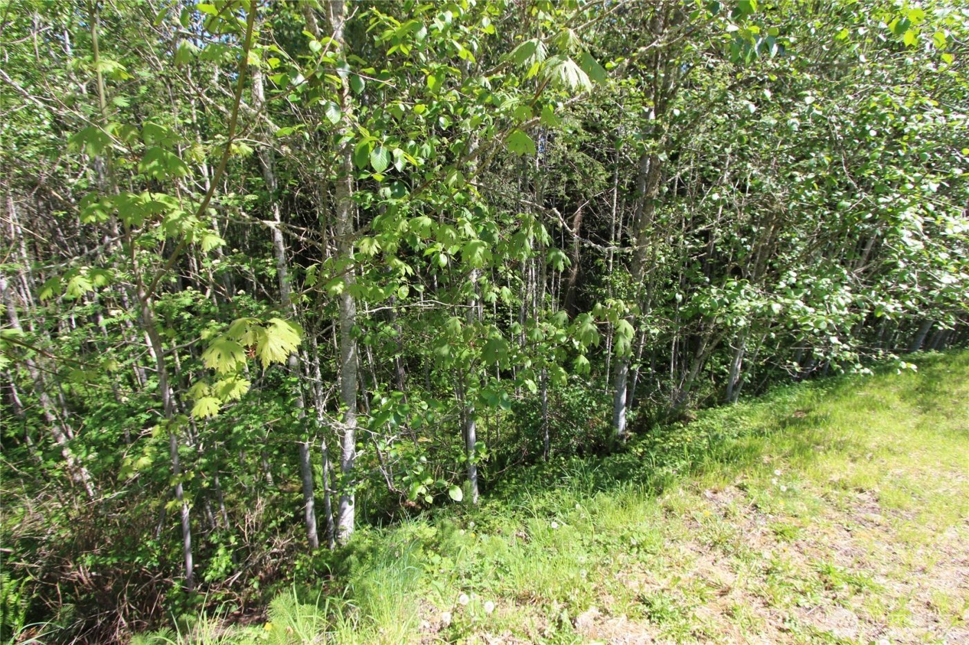 4619 Beaver Pond Drive S, Mount Vernon, WA 98274