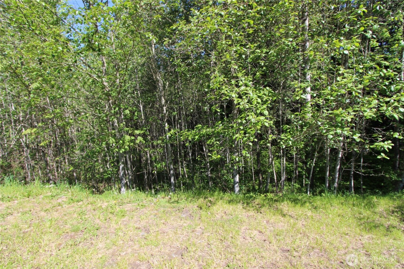 4621 Beaver Pond Drive S, Mount Vernon, WA 98274