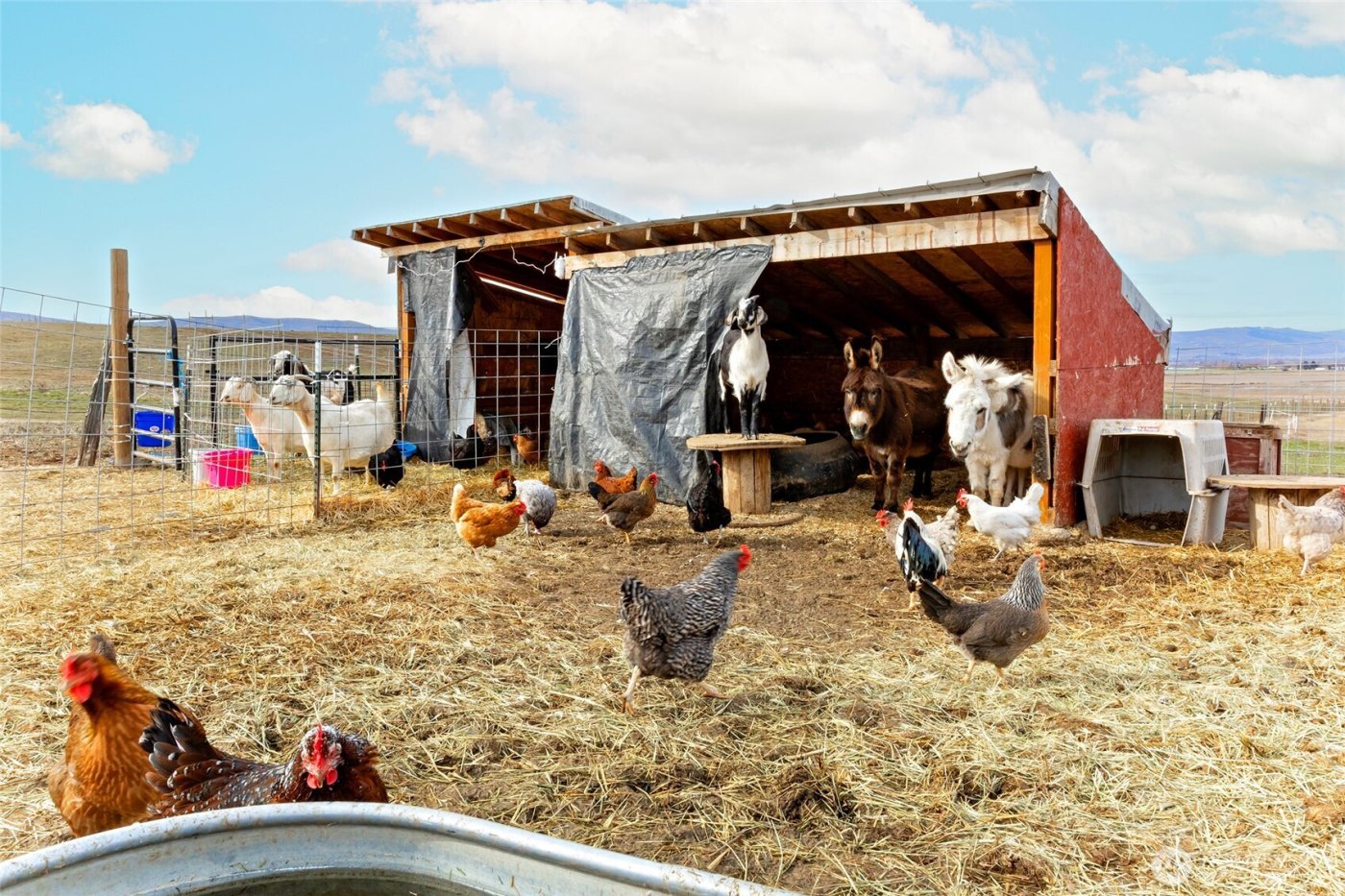 2416 Clerf Road , Ellensburg, WA 98926