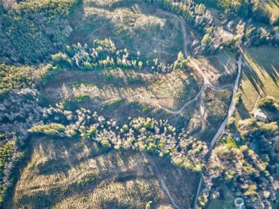 0 Tract 3 South Valley Road , Naselle, WA 98638 - Photo 7