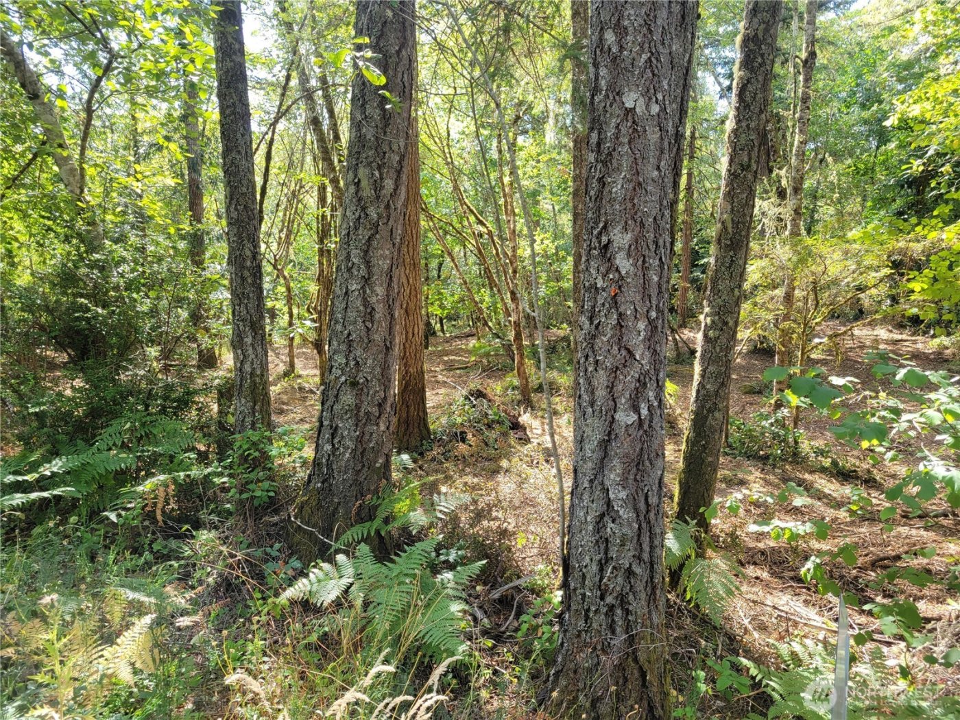 900 E Wilson Way , Grapeview, WA 98546