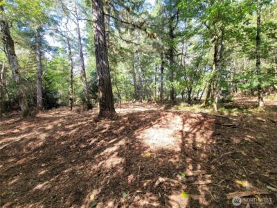 900 E Wilson Way , Grapeview, WA 98546 - Photo 3