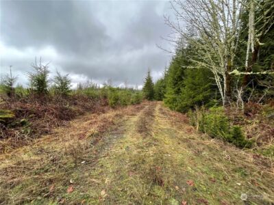 10 xx Oppelt Road , Onalaska, WA 98570 - Photo 1