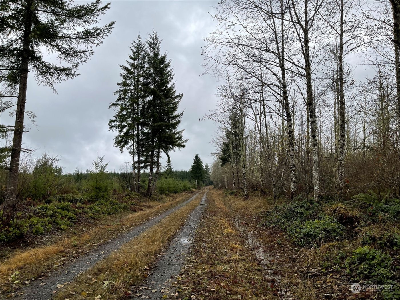 10 xx Oppelt Road , Onalaska, WA 98570