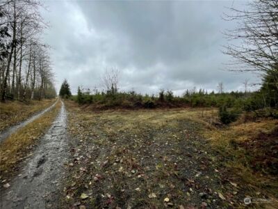 10 xx Oppelt Road , Onalaska, WA 98570 - Photo 3