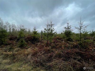 10 xx Oppelt Road , Onalaska, WA 98570 - Photo 4