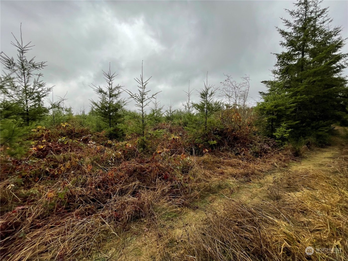 10 xx Oppelt Road , Onalaska, WA 98570