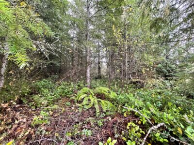 10 xx Oppelt Road , Onalaska, WA 98570 - Photo 6