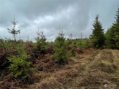 10 xx Oppelt Road , Onalaska, WA 98570 - Photo 7