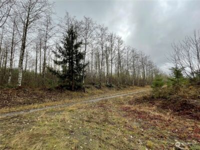 10 xx Oppelt Road , Onalaska, WA 98570 - Photo 8