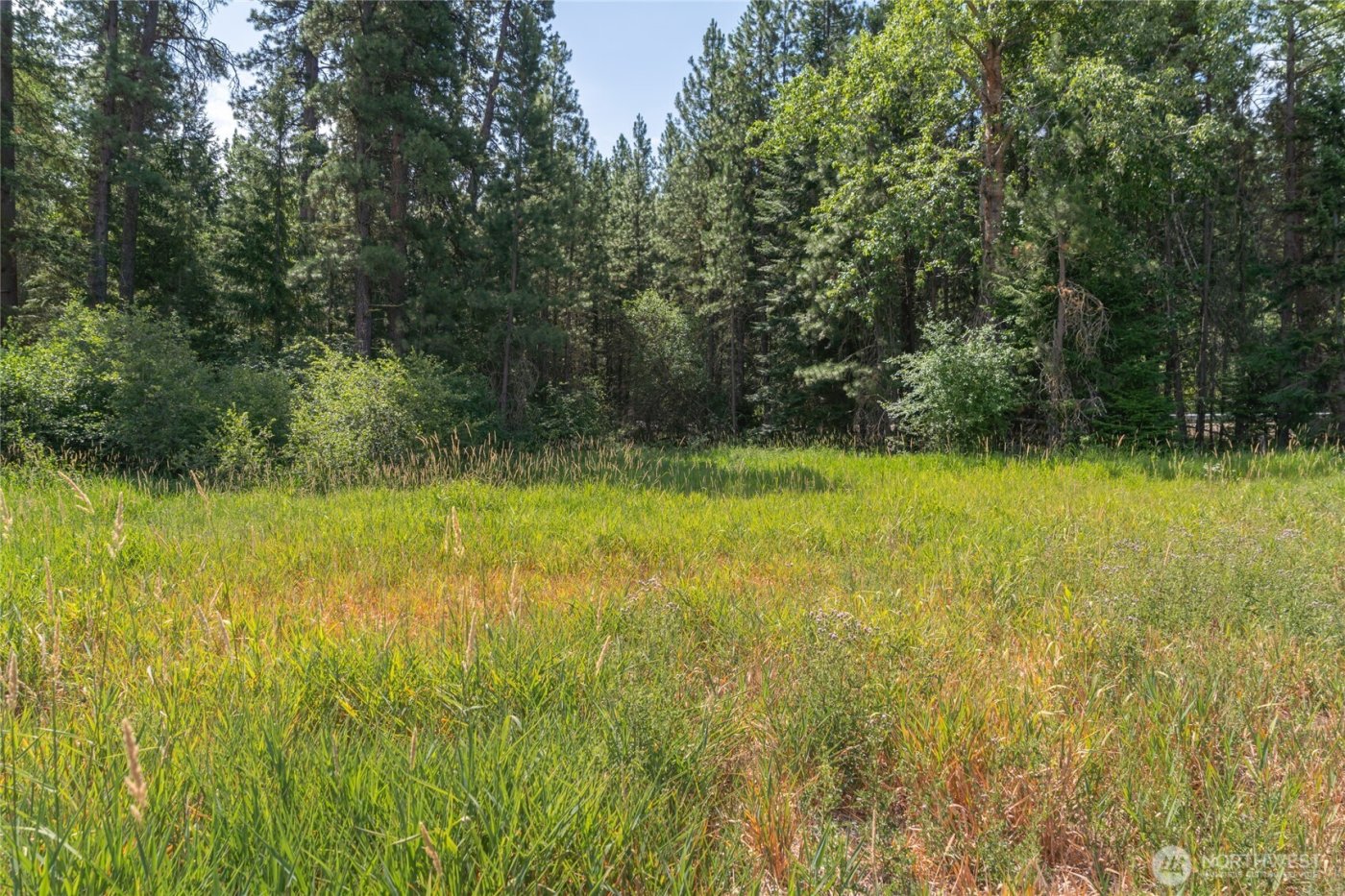 3 Lots Nelson Siding Road , Cle Elum, WA 98922