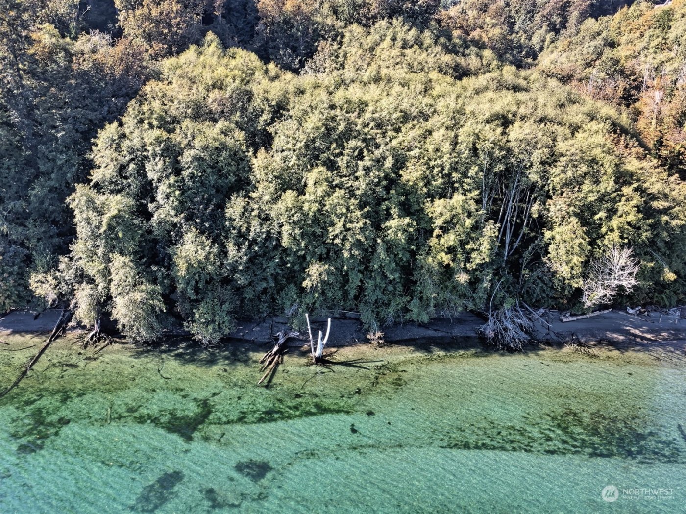 14801 13 Avenue Ct NW, Gig Harbor, WA 98332