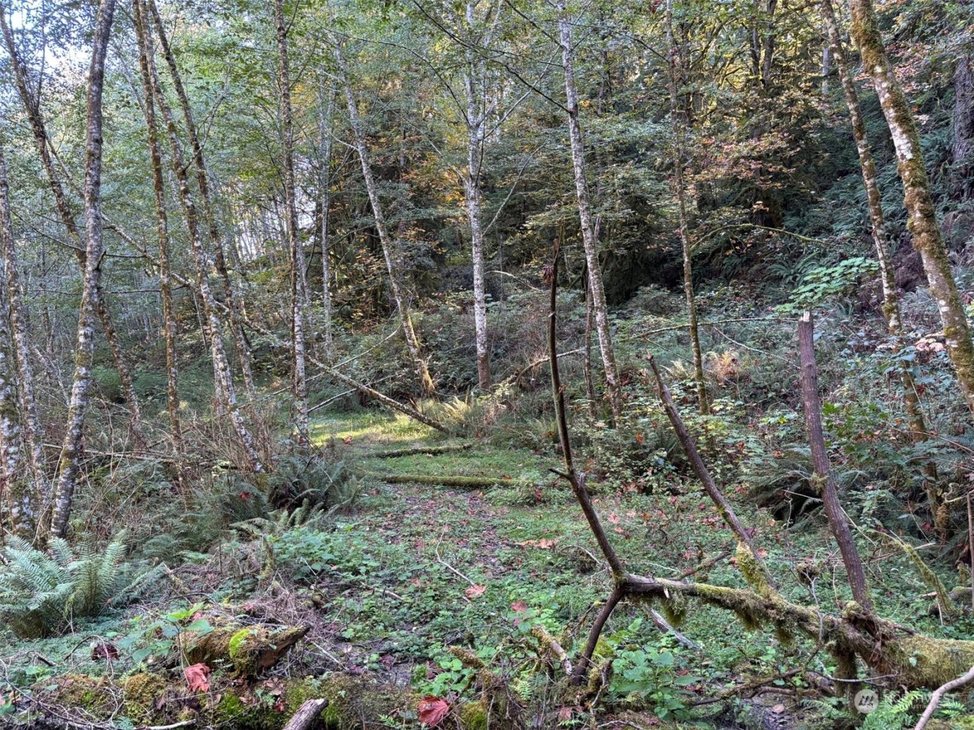 14801 13 Avenue Ct NW, Gig Harbor, WA 98332