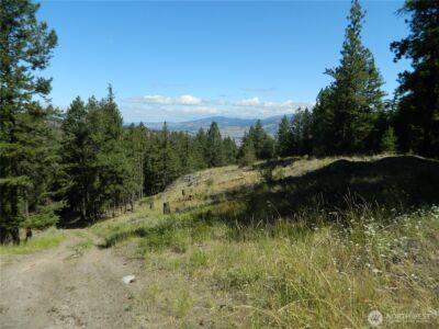 0 TBD Snowbunny Ridge Drive , Tonasket, WA 98855