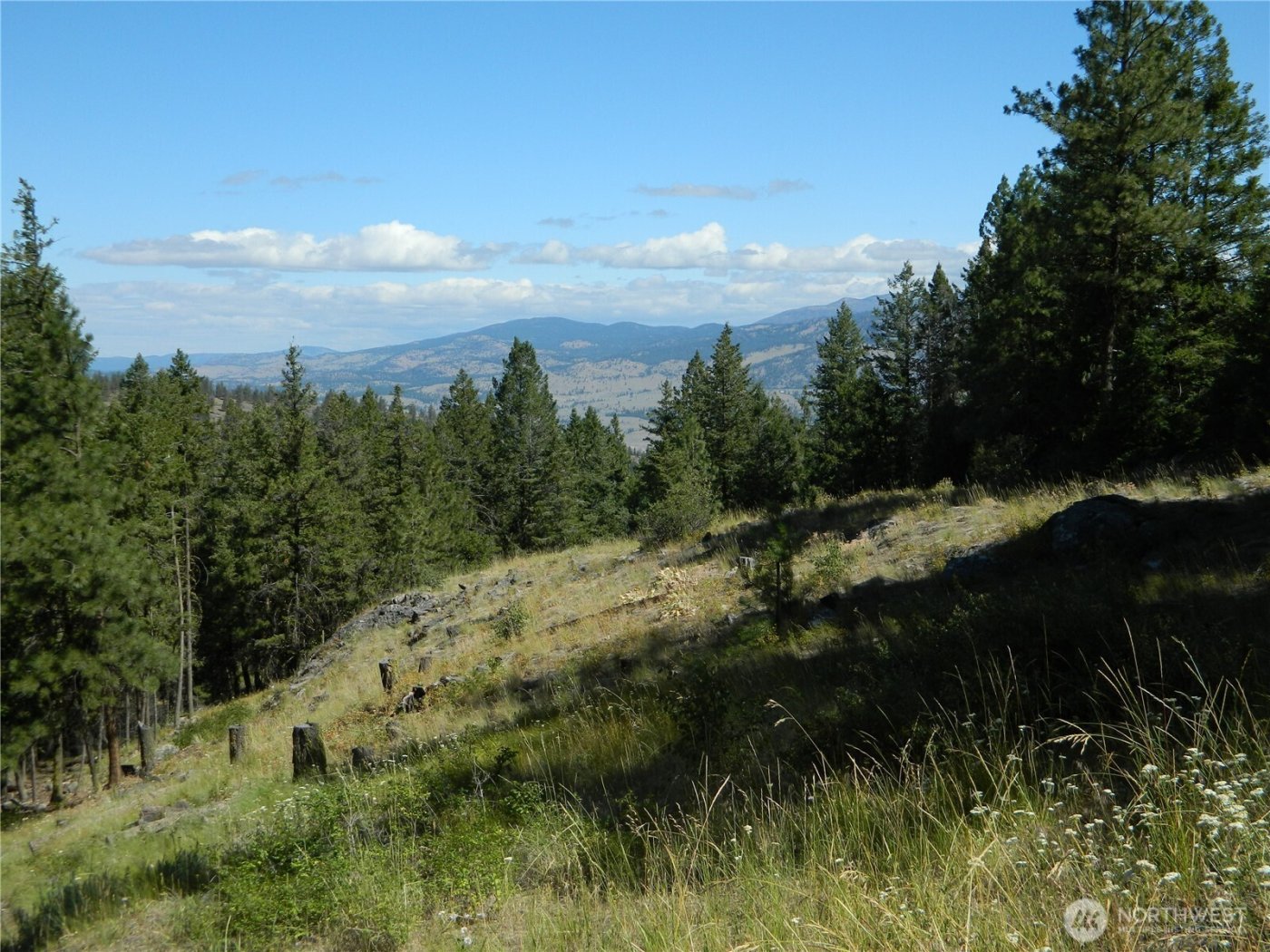 0 TBD Snowbunny Ridge Drive , Tonasket, WA 98855