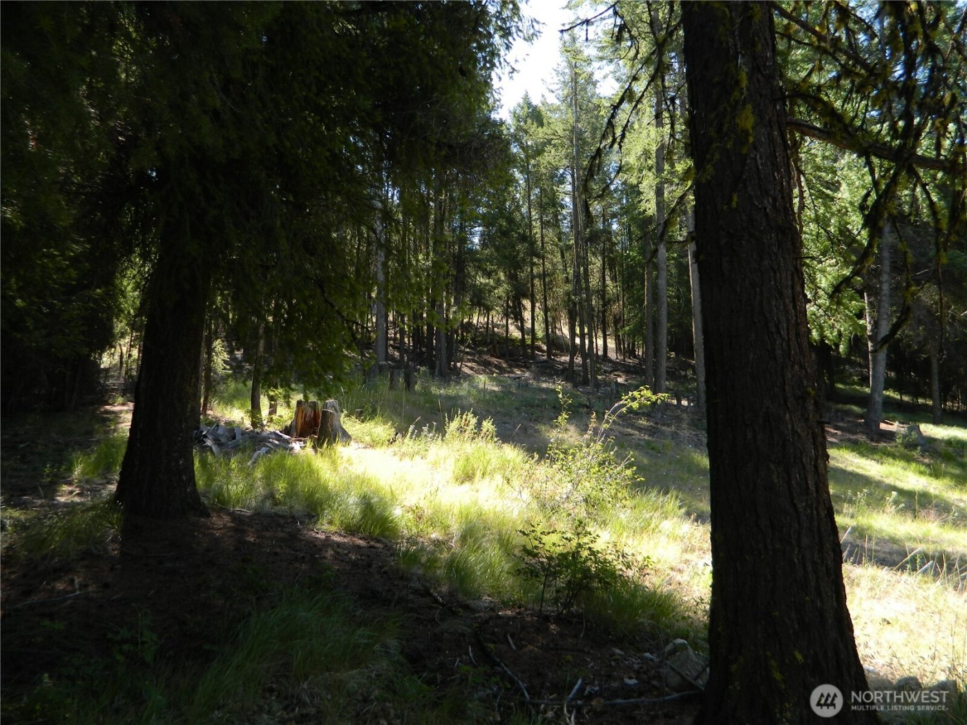 0 TBD Snowbunny Ridge Drive , Tonasket, WA 98855