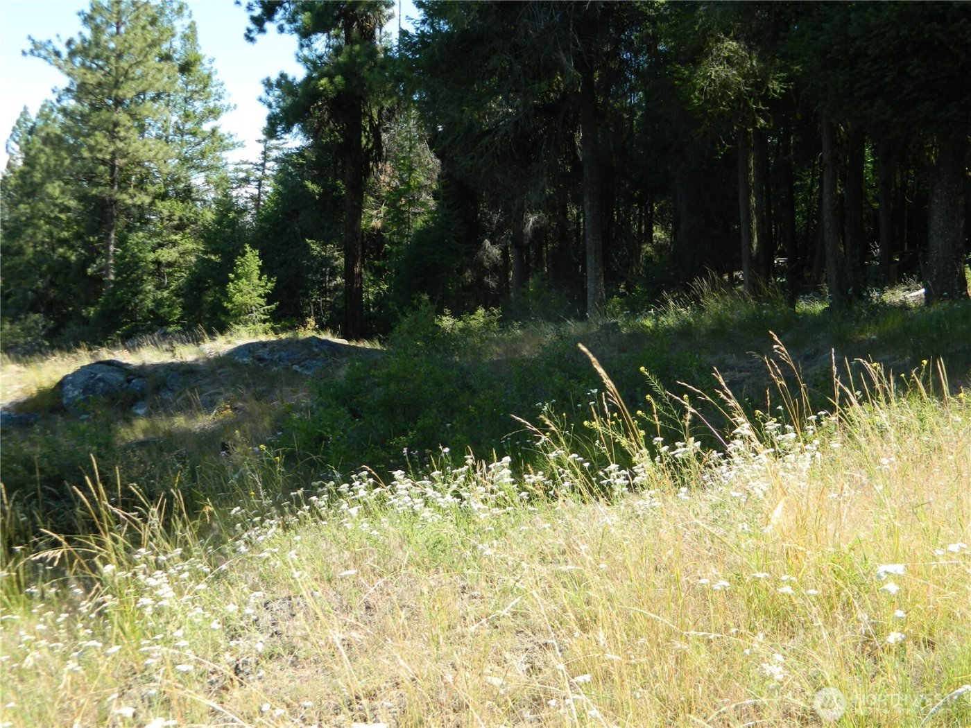 0 TBD Snowbunny Ridge Drive , Tonasket, WA 98855