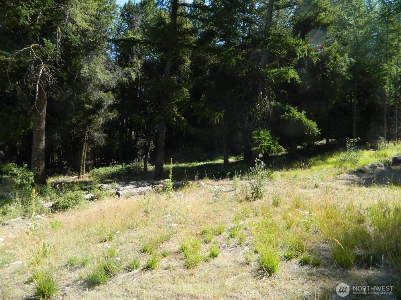 0 TBD Snowbunny Ridge Drive , Tonasket, WA 98855