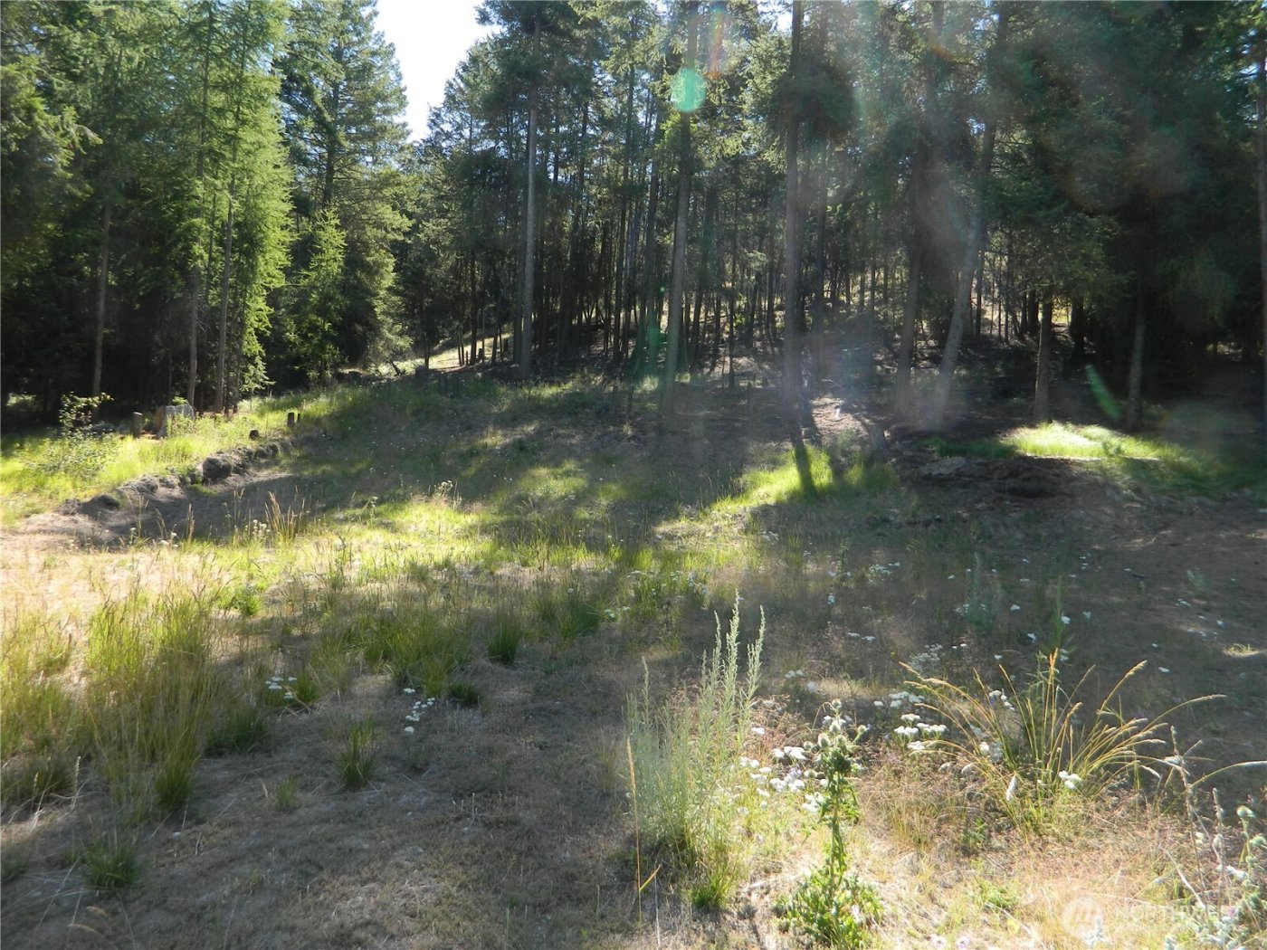 0 TBD Snowbunny Ridge Drive , Tonasket, WA 98855