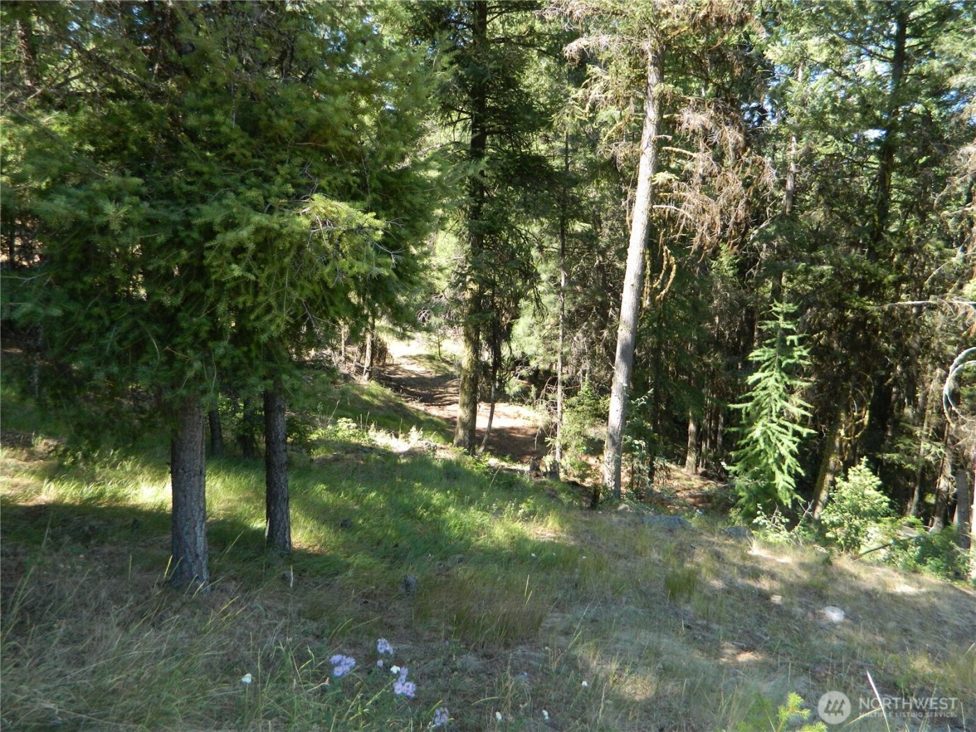 0 TBD Snowbunny Ridge Drive , Tonasket, WA 98855