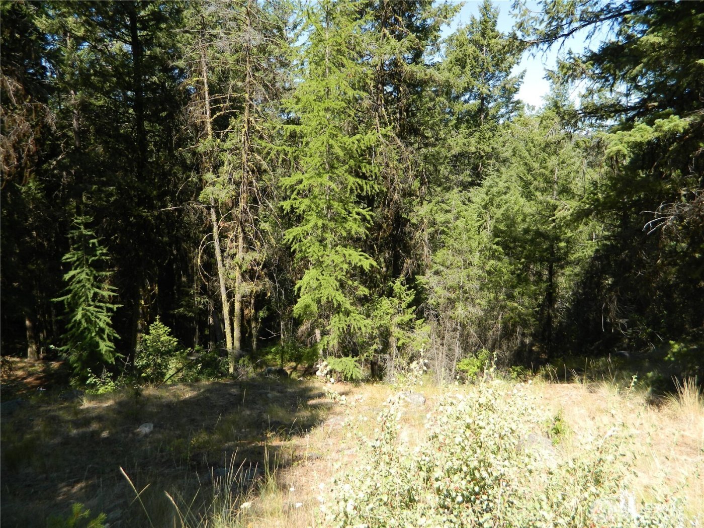 0 TBD Snowbunny Ridge Drive , Tonasket, WA 98855