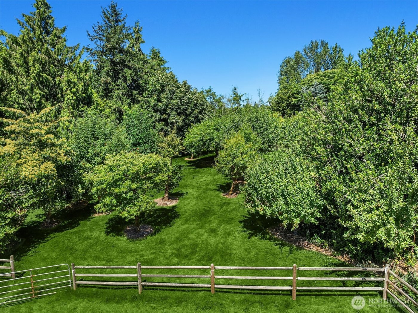 15805 SE 16th Street , Bellevue, WA 98008