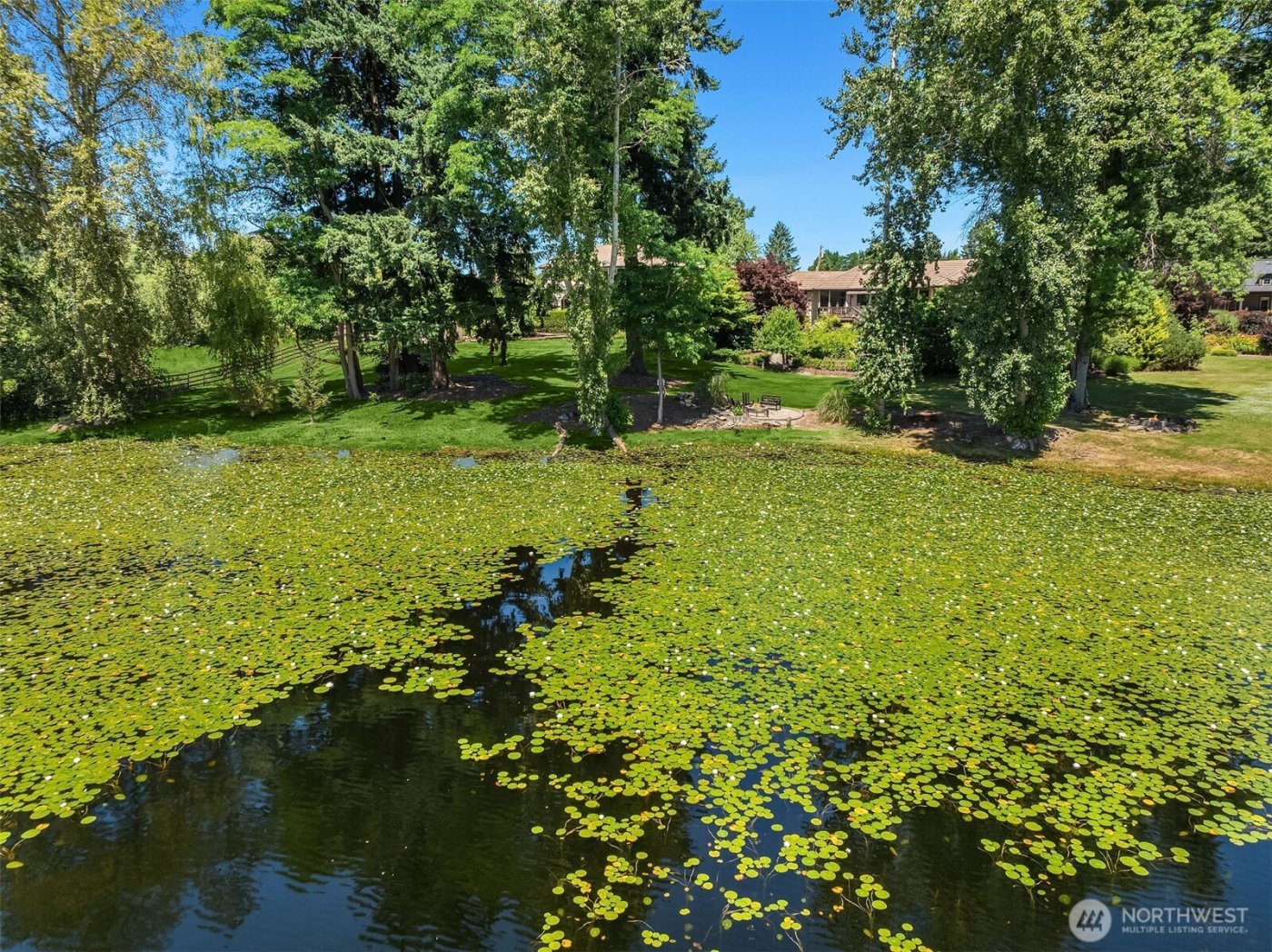 15805 SE 16th Street , Bellevue, WA 98008