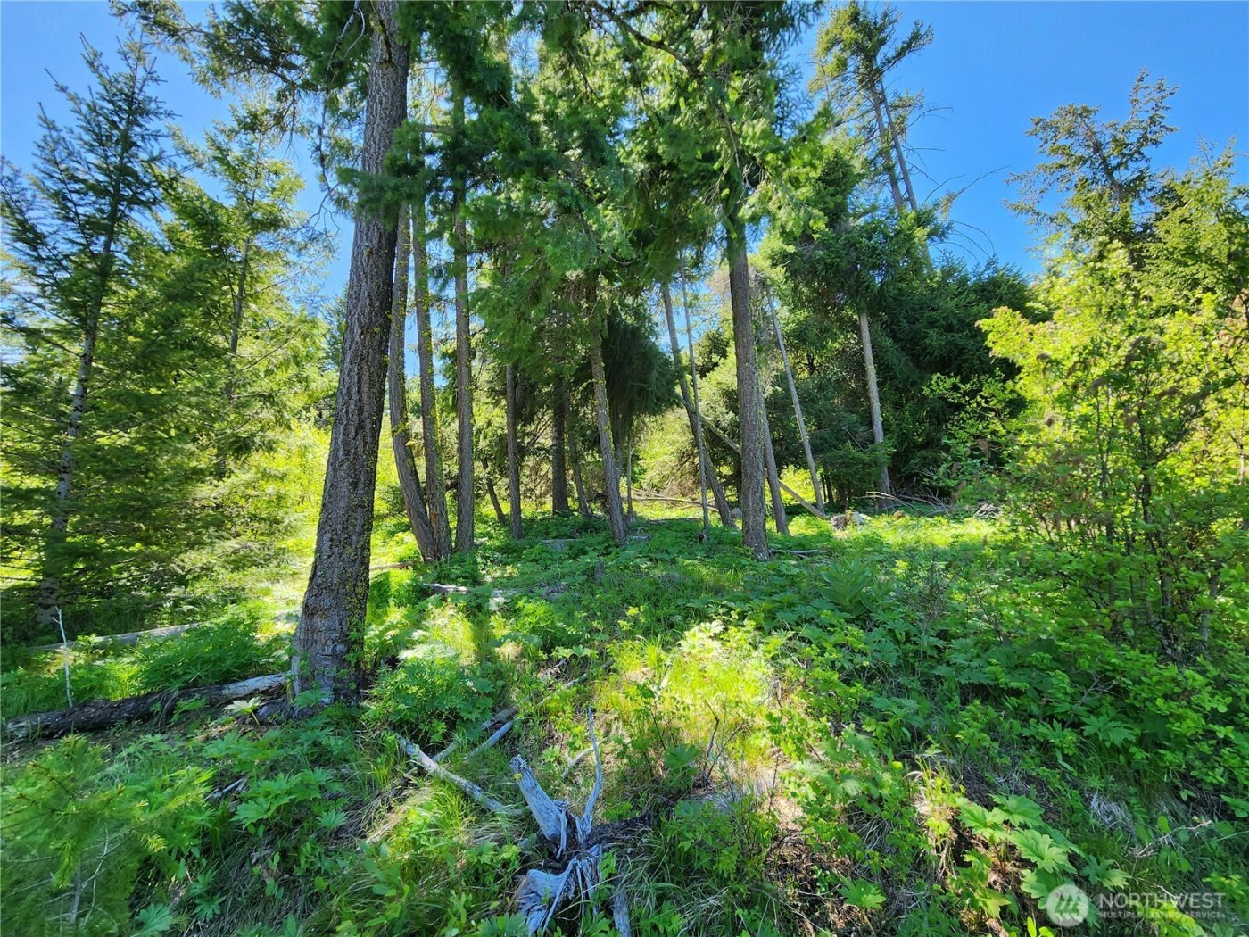 1 Black Hawk Drive , Cle Elum, WA 98922