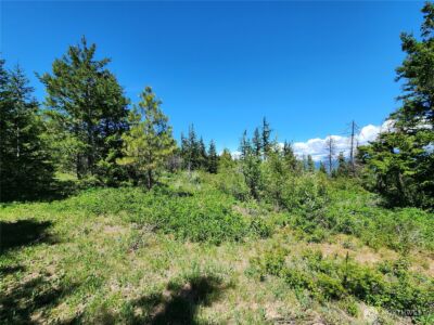 1 Black Hawk Drive , Cle Elum, WA 98922 - Photo 2