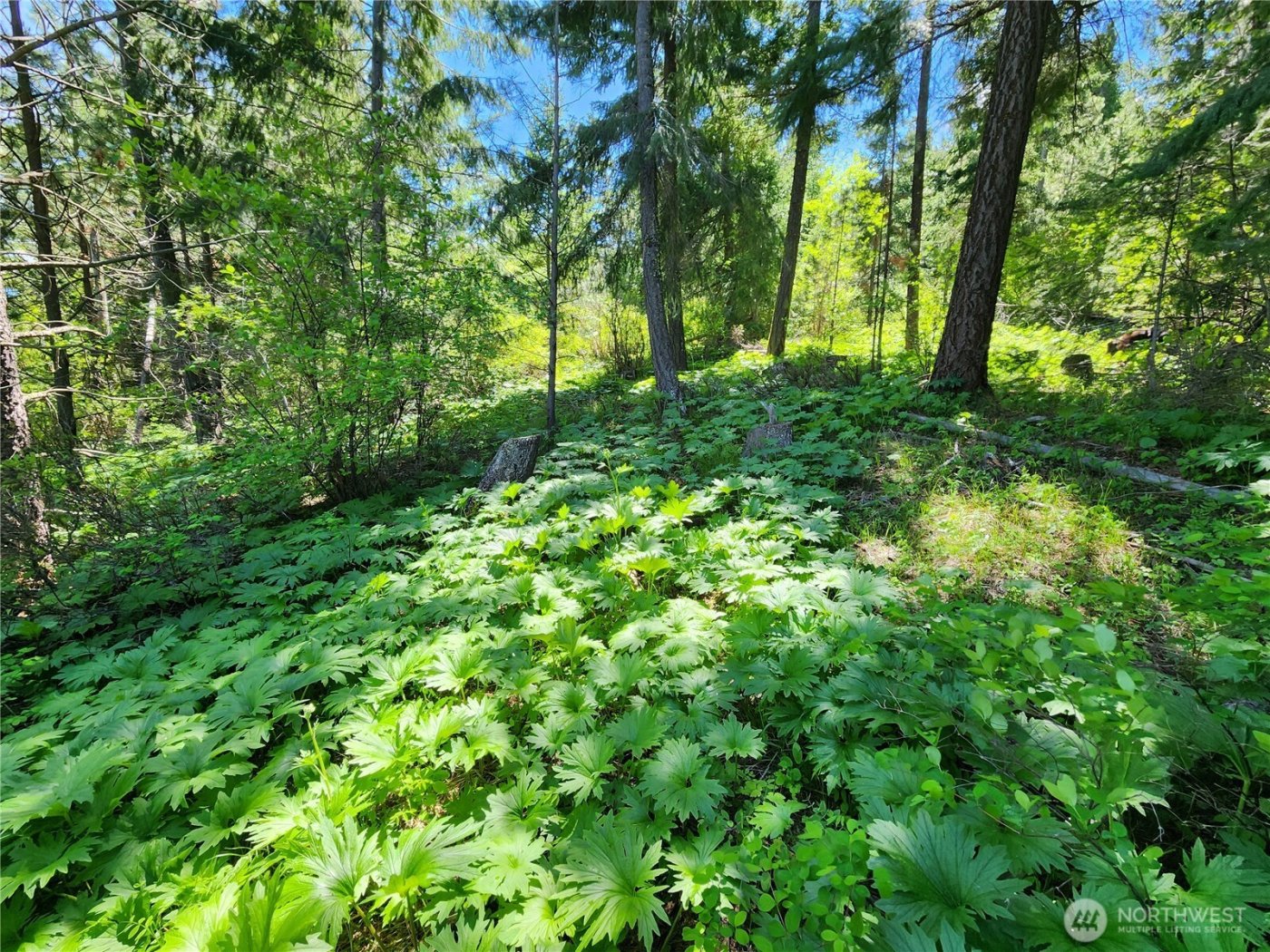 1 Black Hawk Drive , Cle Elum, WA 98922