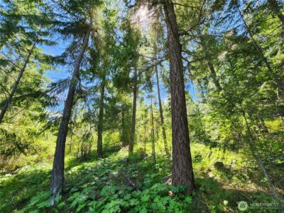 1 Black Hawk Drive , Cle Elum, WA 98922 - Photo 8