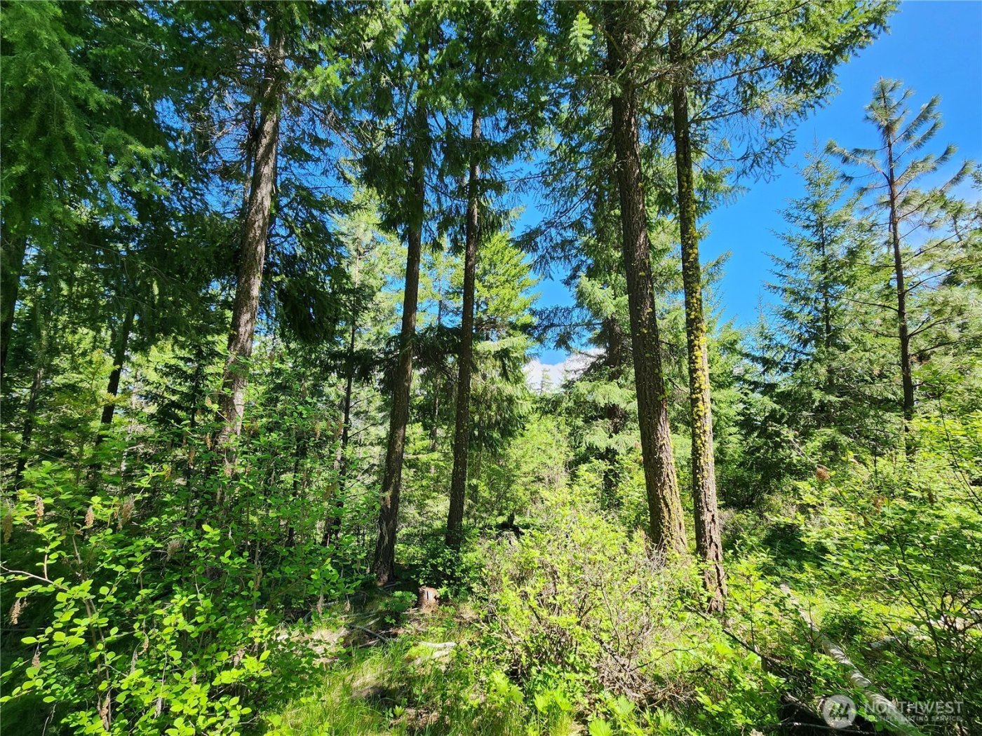 1 Black Hawk Drive , Cle Elum, WA 98922