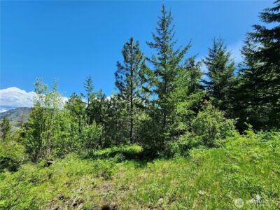 1 Black Hawk Drive , Cle Elum, WA 98922 - Photo 10